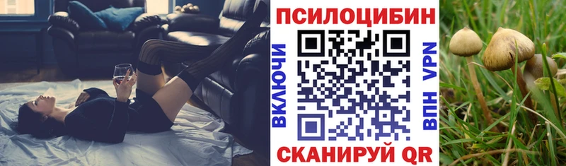 Галлюциногенные грибы GOLDEN TEACHER  Буй 